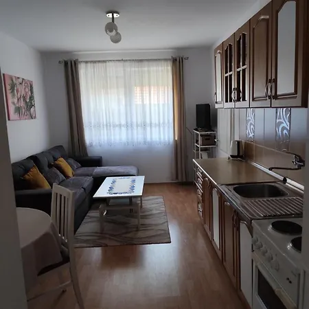 Apartman Slava-Stari