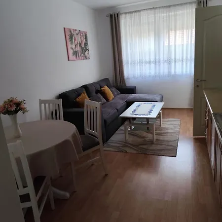 Apartman Slava-Stari Appartement *